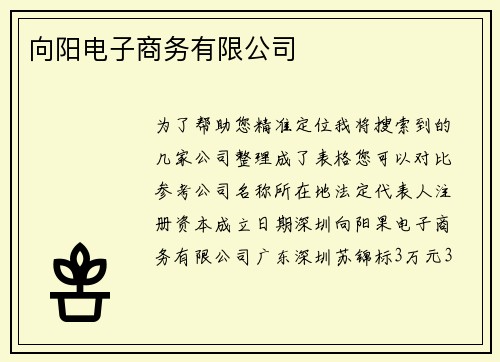 向阳电子商务有限公司