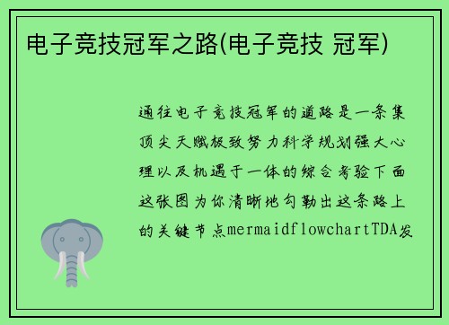 电子竞技冠军之路(电子竞技 冠军)